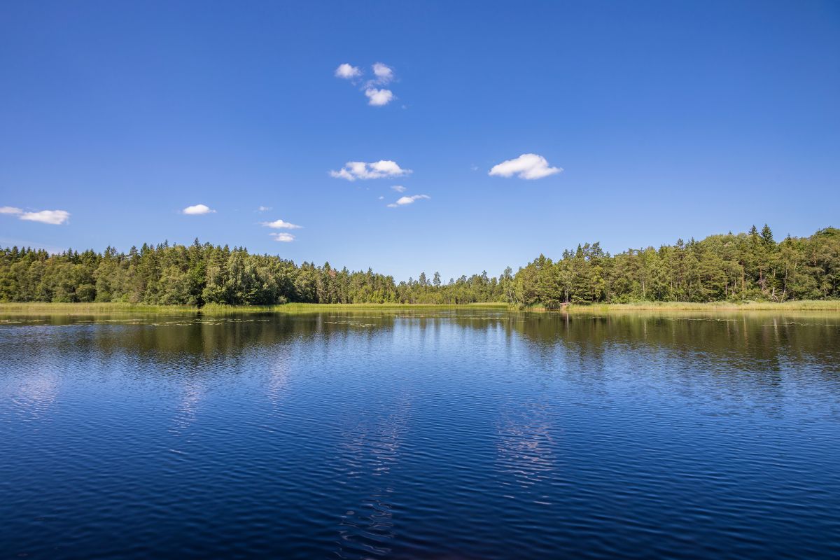 kuinka monta järveä suomessa on